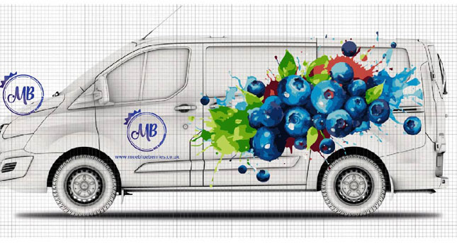 Van graphics