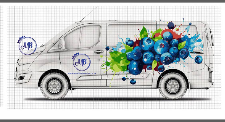 Van graphics