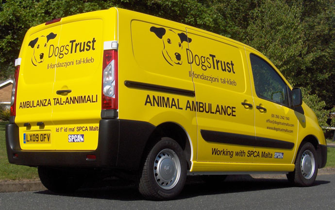 Dog Trust vehicle graphics