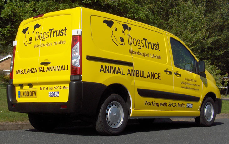 Dog Trust vehicle graphics
