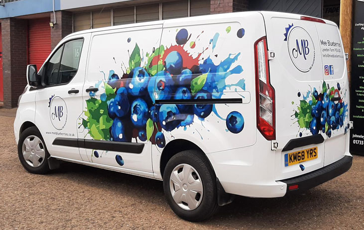 MB vehicle graphics