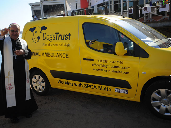 Vehicle graphics
