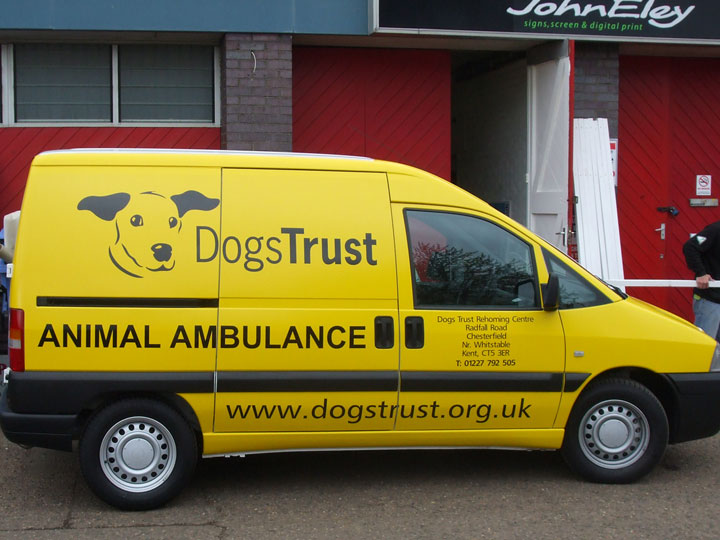 Vehicle graphics