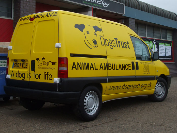 Vehicle graphics