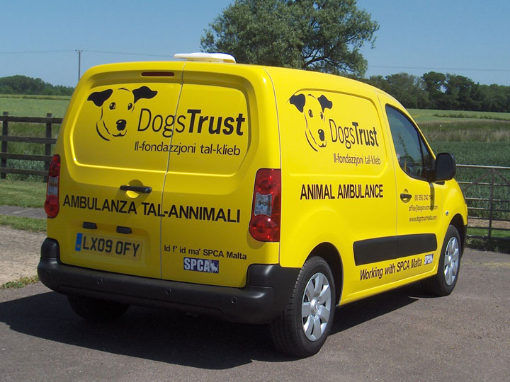 Vehicle graphics