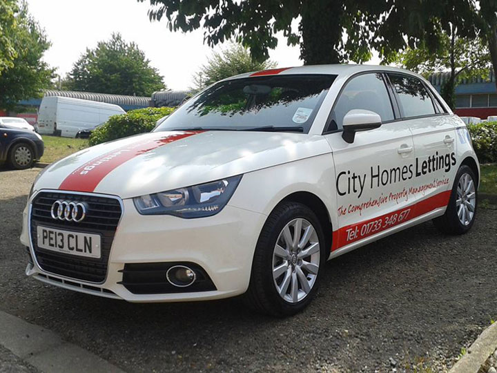 Vehicle graphics