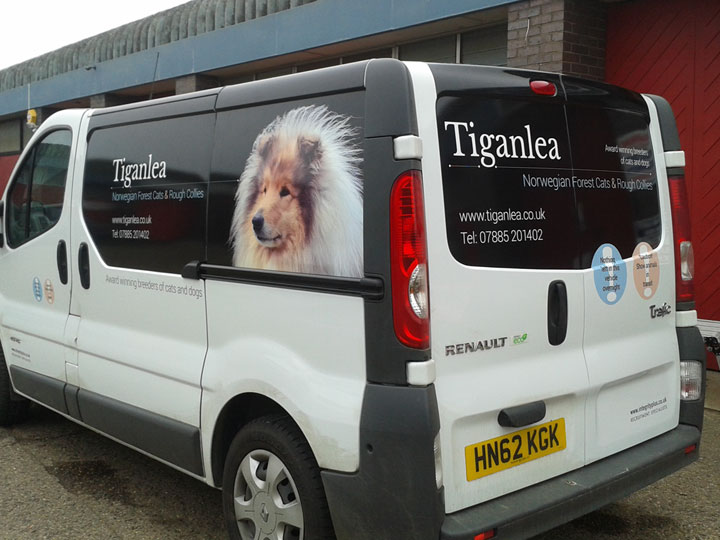 Vehicle graphics
