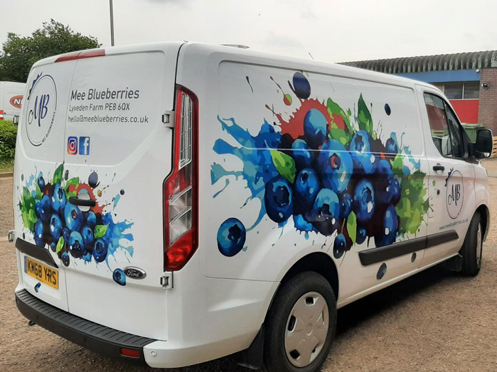 Vehicle graphics