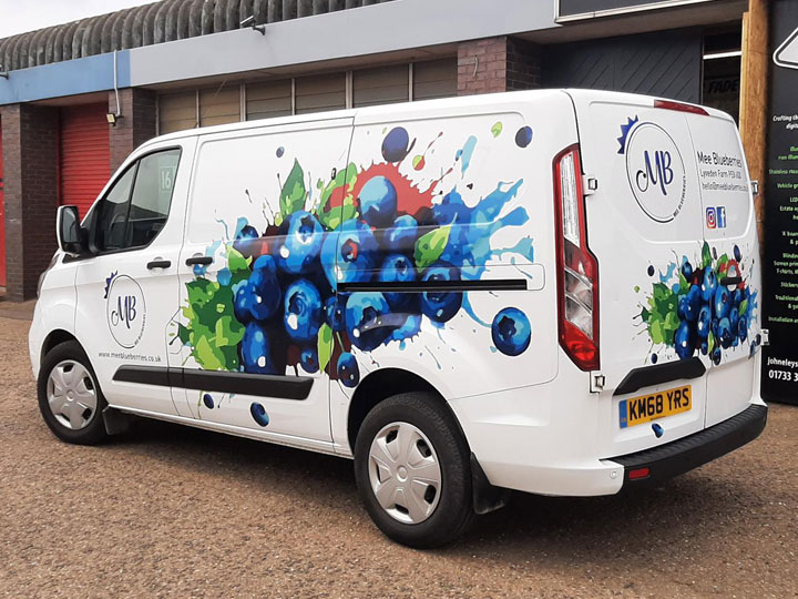 Vehicle graphics